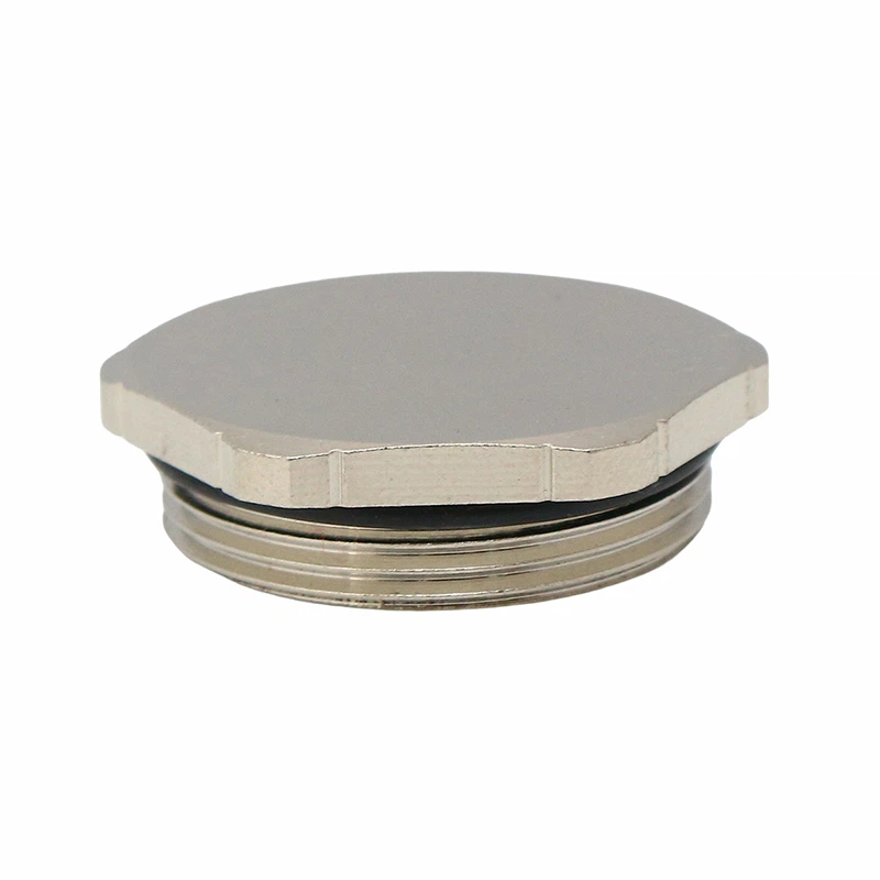 Brass Dome Plug G Thread