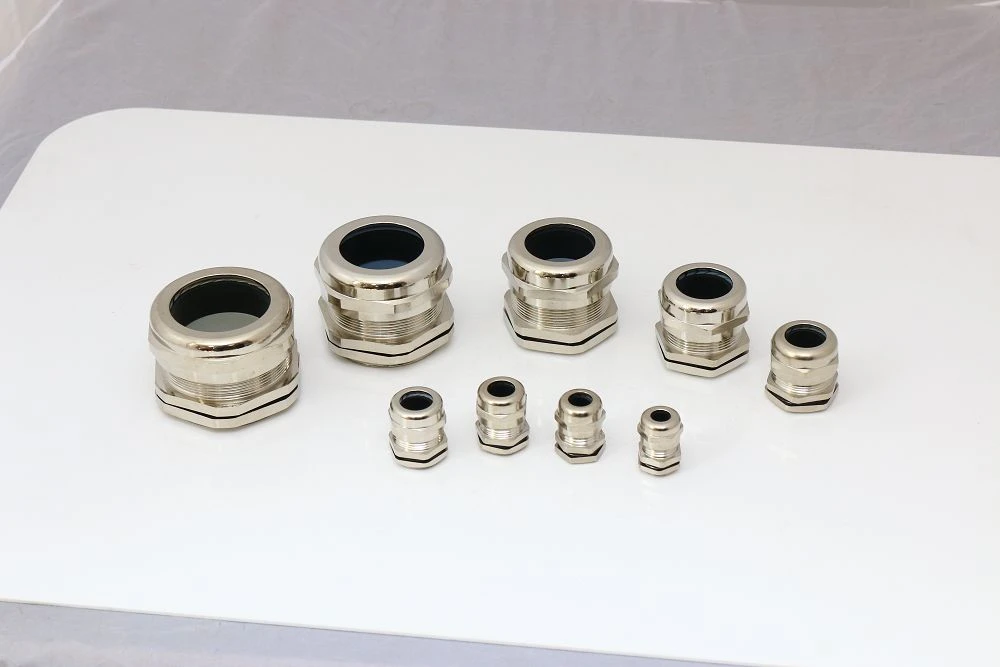 product-1000-667 product-1000-667